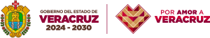 logo-veracruz-fin
